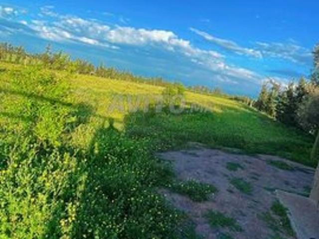 Propriété vente à El Ma, Gharb-Chrarda-Beni Hssen