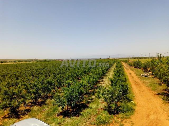 Propriété vente à Meknès