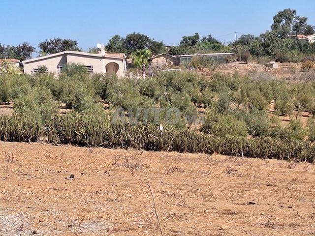 Propriété vente à Sidi Allal El Bahraoui