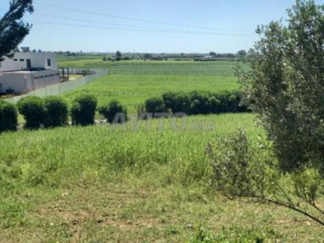 Propriété vente à Témara