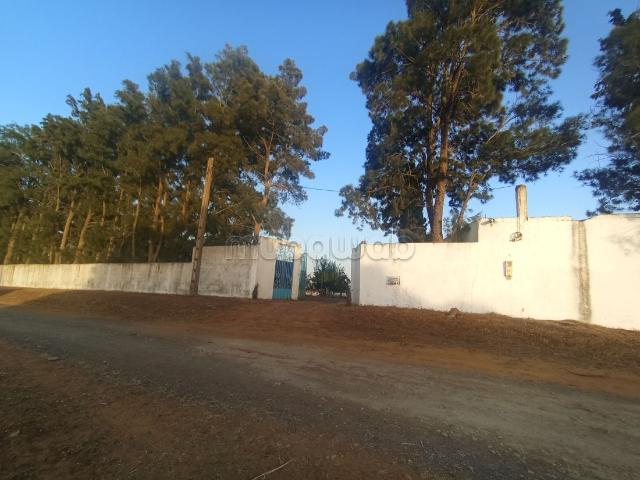 Ferme vente à Assilah, Tanger-Tétouan