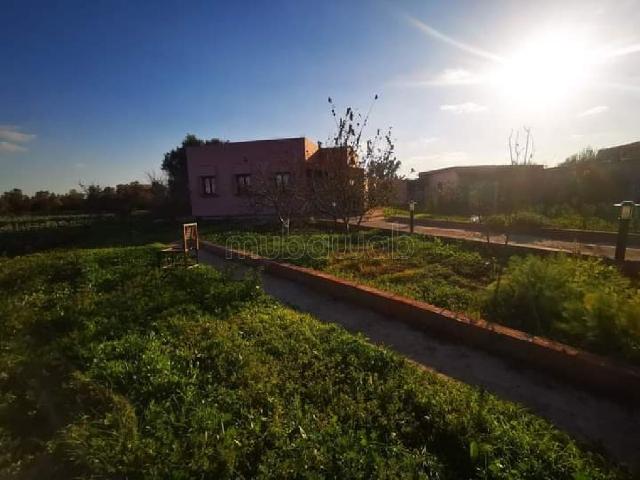 Ferme vente à Berrechid, Chaouia-Ouardigha