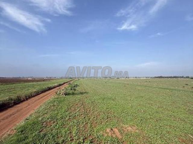 Propriété vente à El Ma, Gharb-Chrarda-Beni Hssen