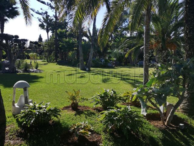 Ferme vente à Bouznika, Chaouia-Ouardigha