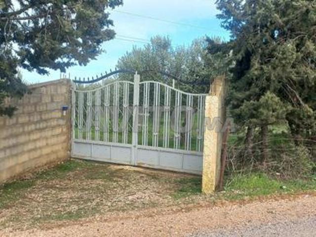 Propriété vente à Meknès