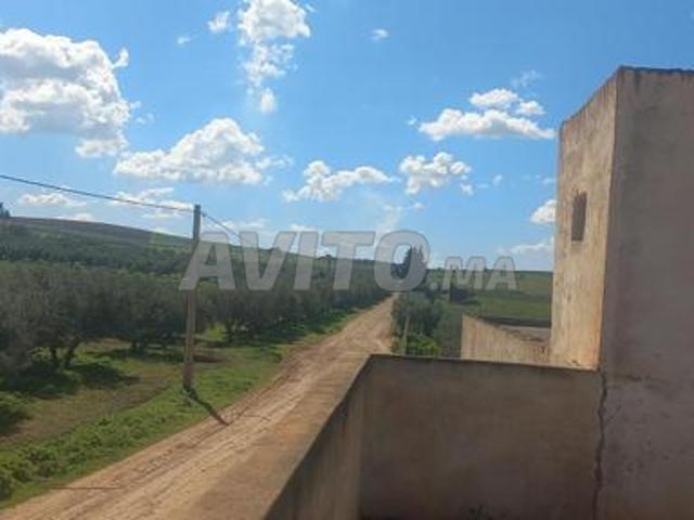 Propriété vente à Meknès ⴰⵎⴽⵏⴰⵙ مكناس, Prefecture de Meknès عمالة مكناس