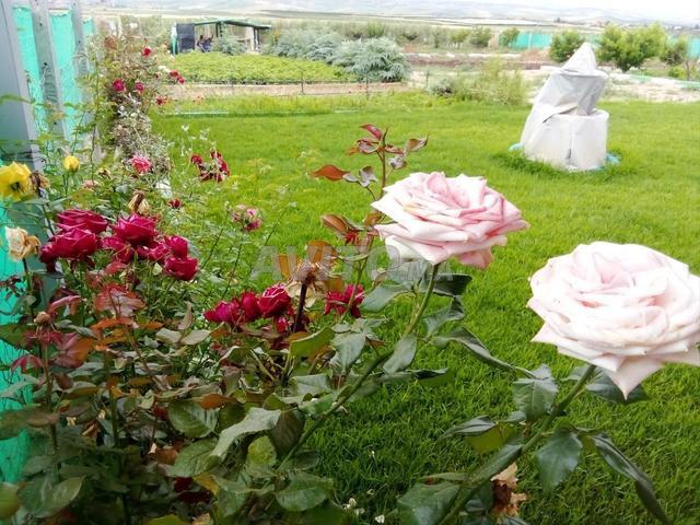 Propriété vente à Meknès