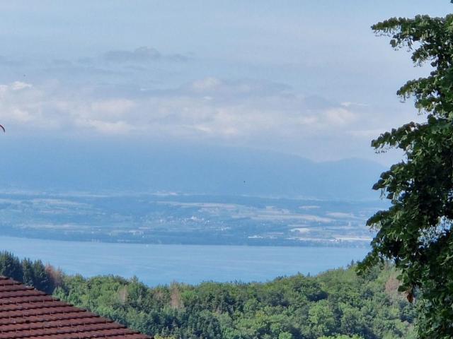 Maison vente à Thonon-les-Bains, Orcier