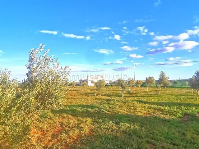 Terrain vente à El Ma, Gharb-Chrarda-Beni Hssen