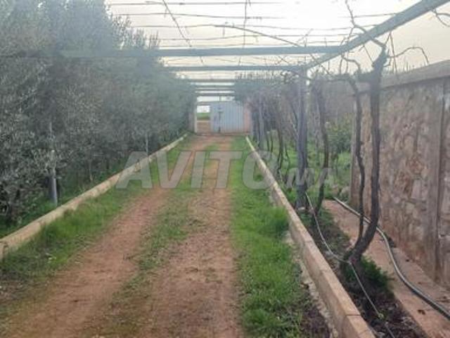 Propriété vente à Meknès
