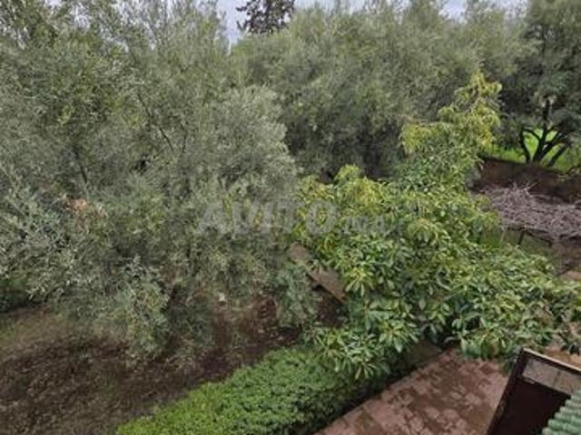 Propriété vente à Al Haouz, L'Oriental