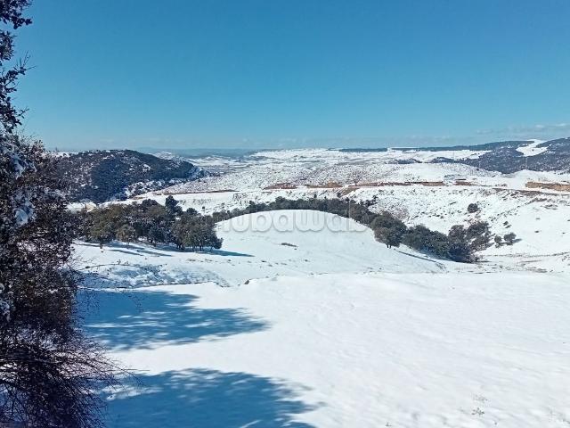 Terrain vente à Ifrane