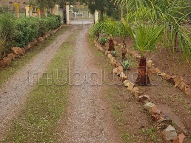 Ferme vente à Ben Slimane, Chaouia-Ouardigha