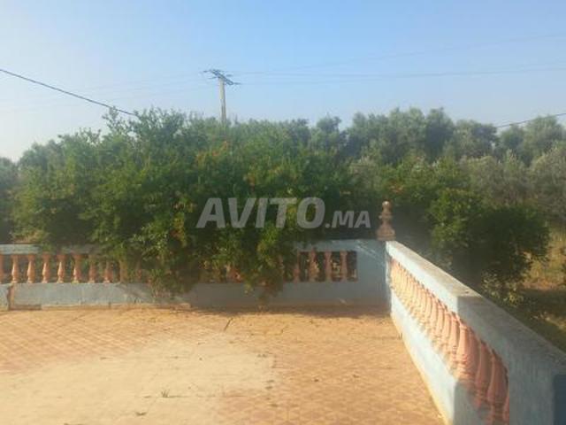 Propriété vente à Meknès