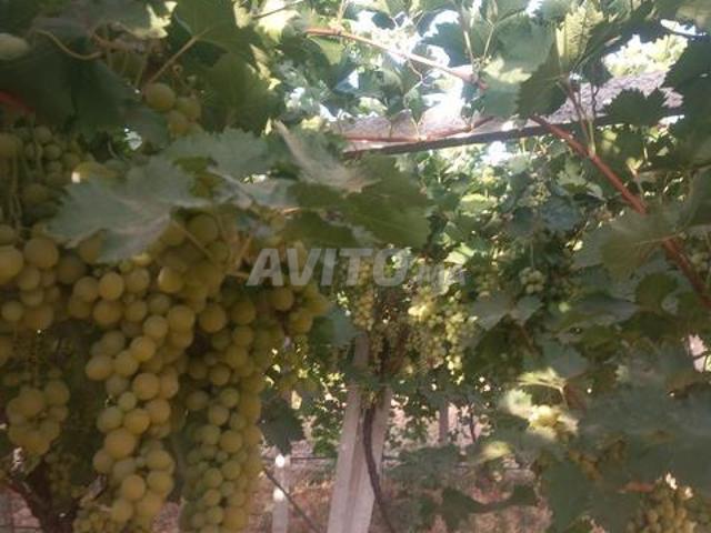 Propriété vente à Meknès