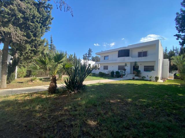 Bureau location à Douz