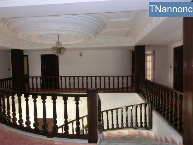 Appartement location