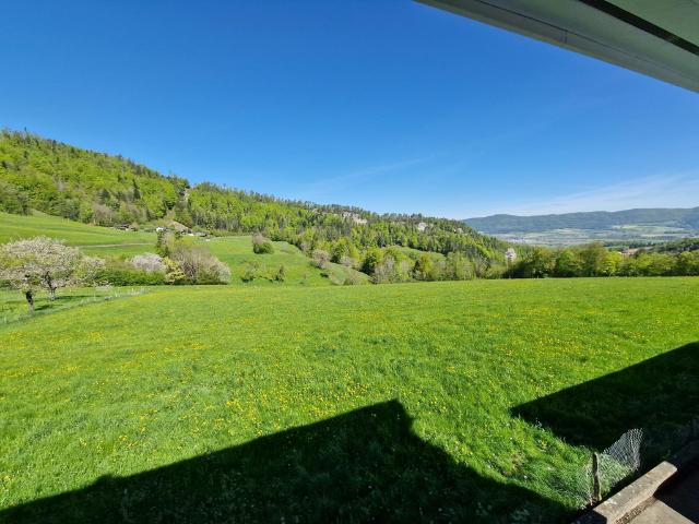 Apartment mieten in Courrendlin, Jura