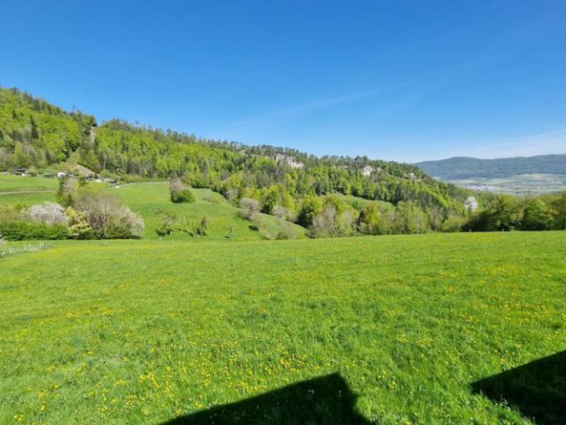 Apartment mieten in Courrendlin, Jura