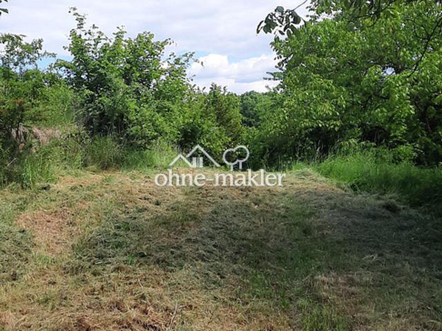 Immobilie kaufen in Krems an der Donau, Niederösterreich