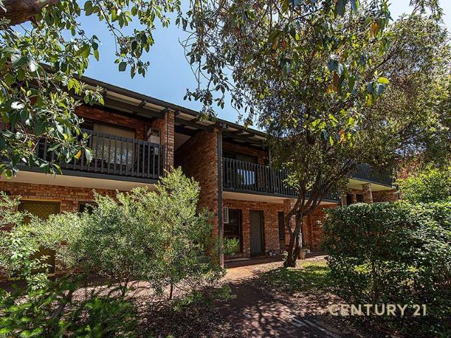 Apartment for rent in Mount Lawley, Western Australia