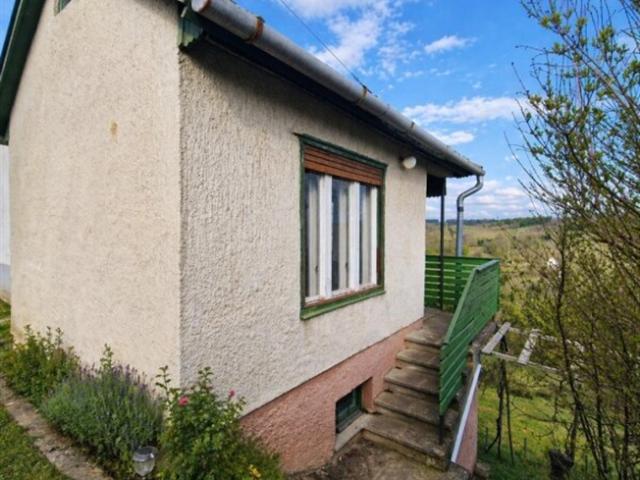Einfamilienhaus kaufen in Heiligenkreuz im Lafnitztal, Burgenland