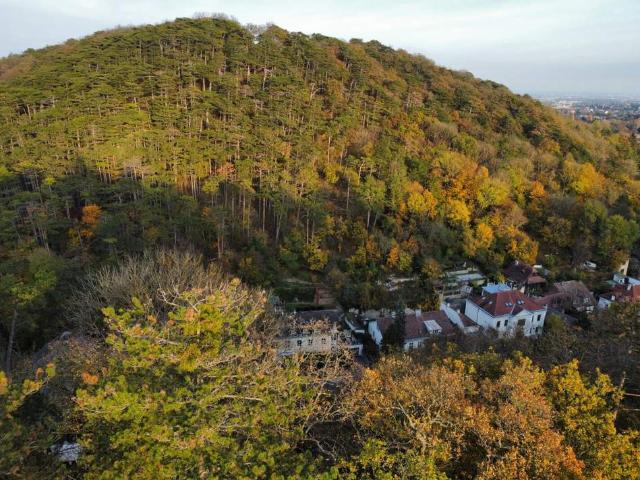 Haus kaufen in Wien, Liesing