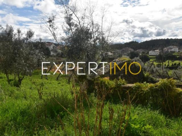 Casa venda em Figueiró Dos Vinhos, Leiria