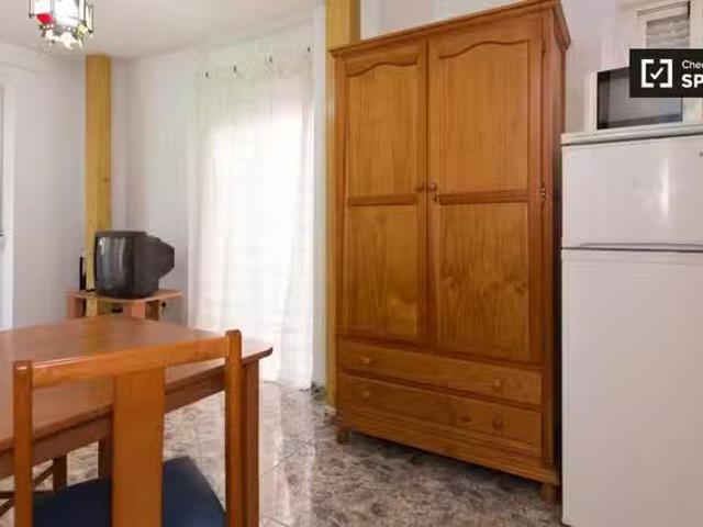 Apartamento en alquiler en Centro, Comarca de la Vega de Granada