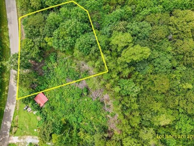Land for sale in Tellico Plains