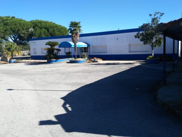 Local Comercial en alquiler en Puerto Real, Barrio de Jarana