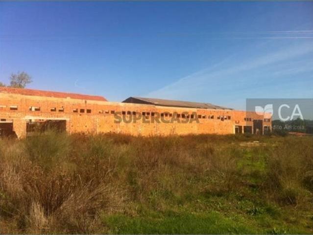 Armazém venda em Santarém