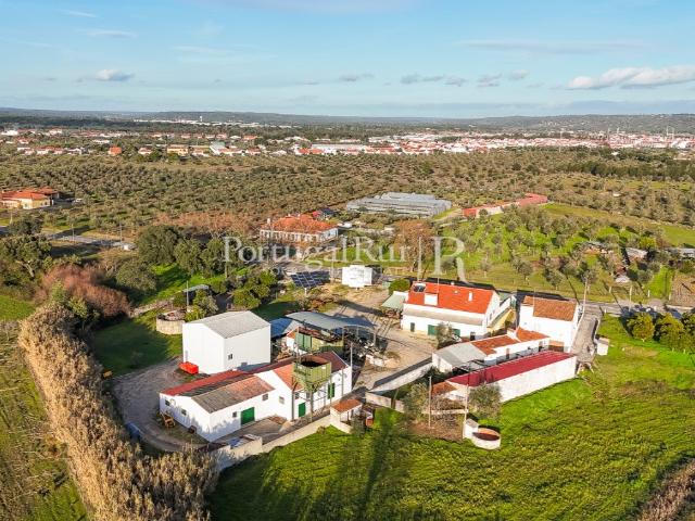 Loja venda em Ponte De Sor, Portalegre