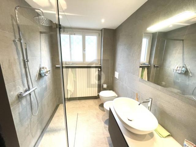 Einfamilienhaus kaufen in Balerna, Tessin