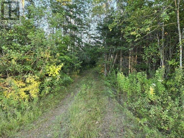 Land for sale in Colchester, Nova Scotia