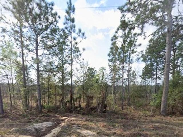 Land for sale in Interlachen, Putnam County
