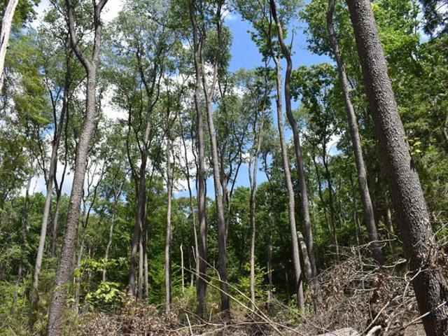 Land for sale in Crawford, Pennsylvania