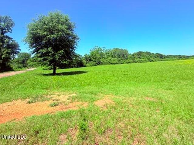 Land for sale in Magnolia, Mississippi
