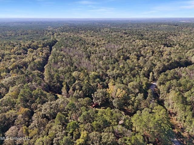 Land for sale in Meadville, Mississippi