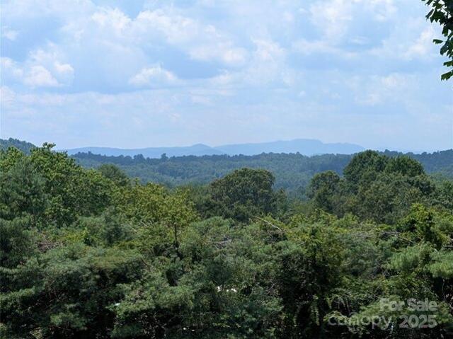 House for sale in Hendersonville