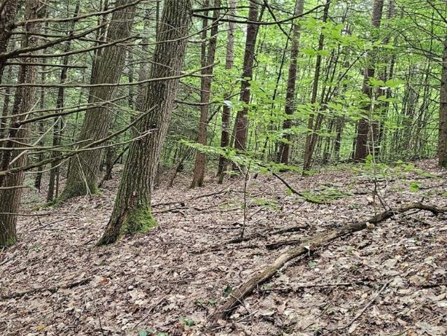 Land for sale in Candor, New York