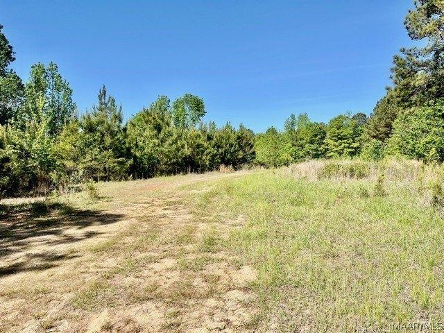 Land for sale in Elmore, Alabama