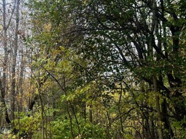 Land for sale in Calais, Washington County