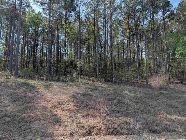 Land for sale in Ark