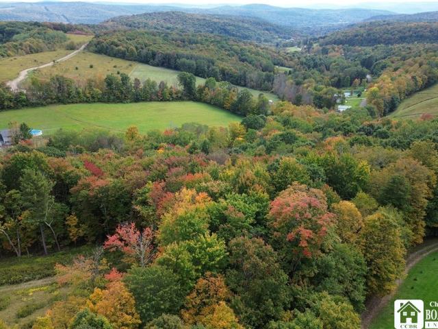 Land for sale in Town of Hinsdale, Cattaraugus County