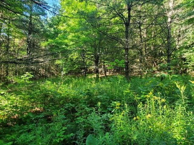Land for sale in Norwich, Vermont