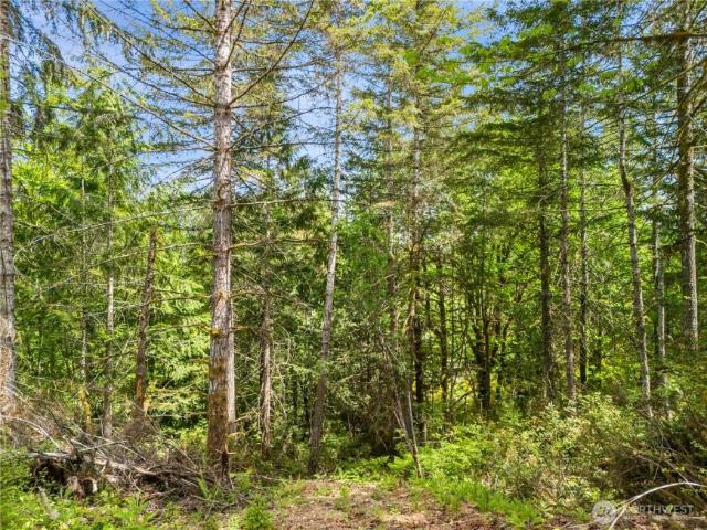 Land for sale in Union