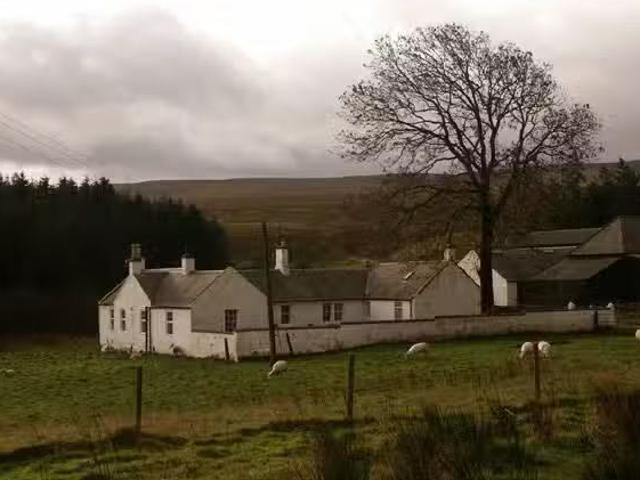 House for rent