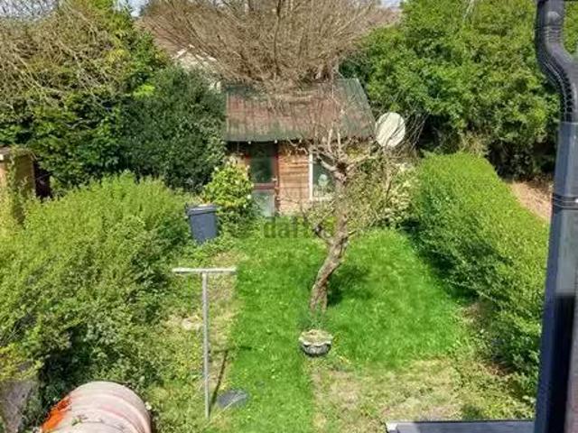 House to rent