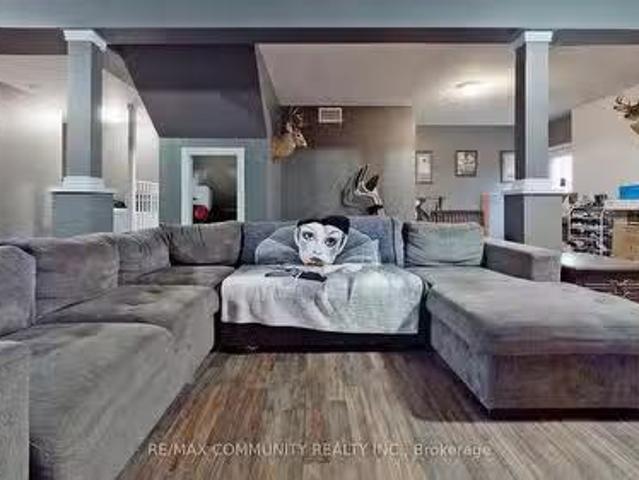 House for rent in York, Ontario